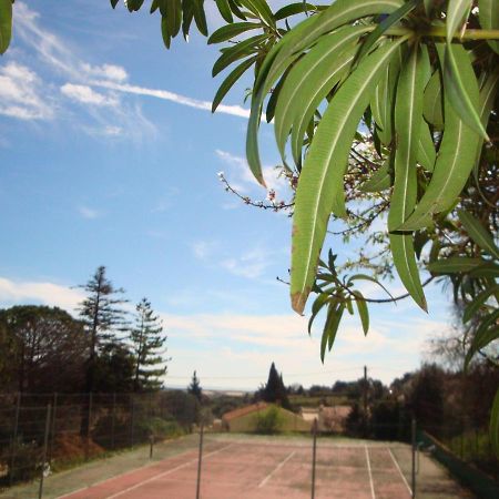 Ferienwohnung Leucate,Dans La Verdure,Studio Caverne En Pierre Dans Propriete Securisee Exterior foto